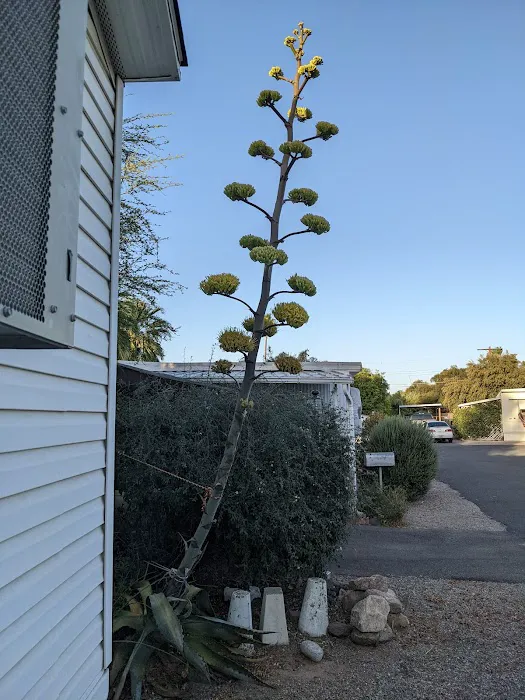 Crescent Manor Manufactured Home Community Picture 10