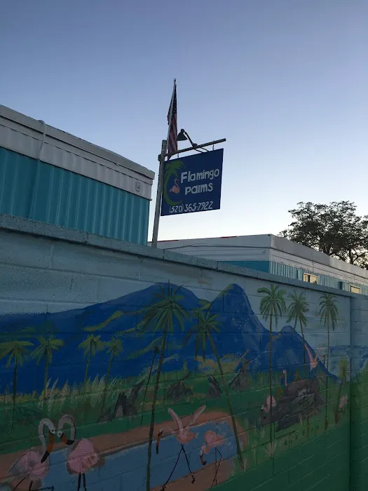 Flamingo Palms Mobile Home Park Picture 1