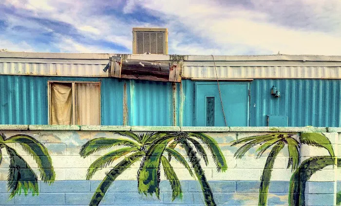 Flamingo Palms Mobile Home Park Picture 6