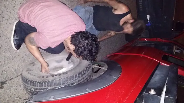 Flamingo Palms Mobile Home Park Picture 9