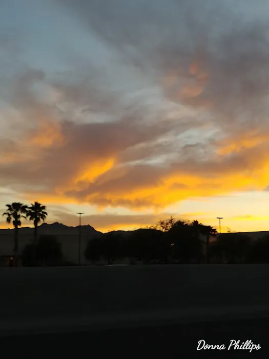 Flamingo Palms Mobile Home Park Picture 10