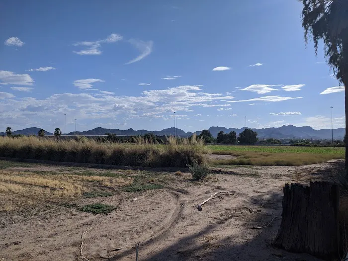 Vista del Rey Mobile Home and RV Park 55+ Picture 3