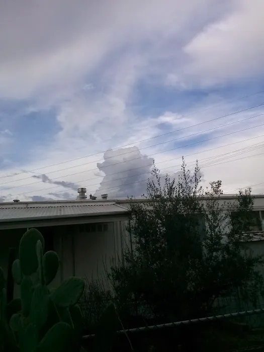 Wagons West Travel Trailer Assoc. Picture 3