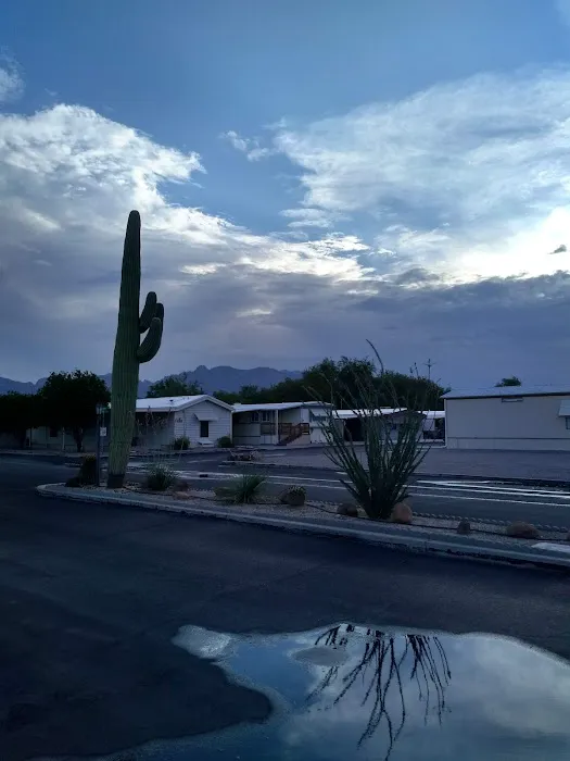 Comanche Wells Mobile Home Park Picture 8