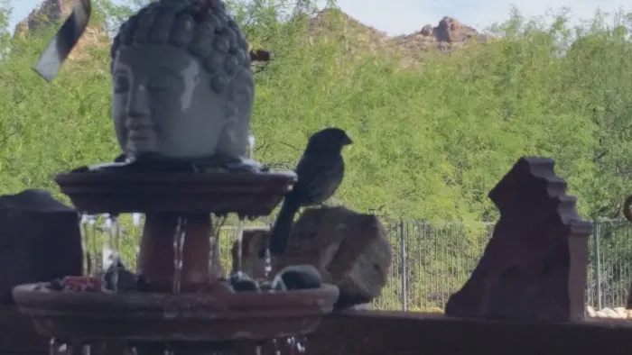 Mountainside Village Picture 10