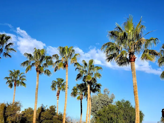 Mountainside Village Picture 7