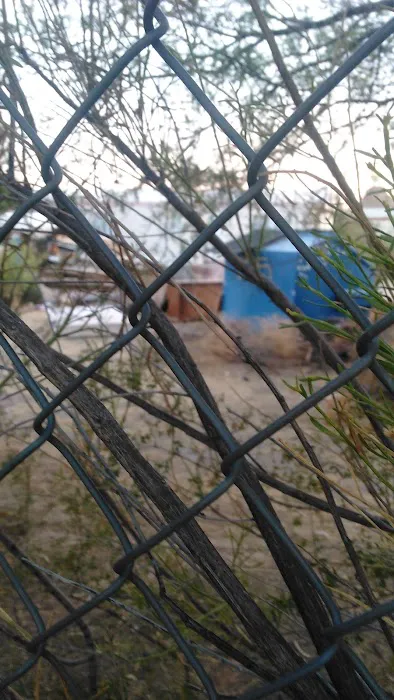 Black Mountain Estates LLC Picture 1