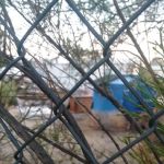 Black Mountain Estates LLC