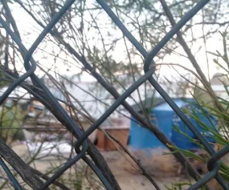 Black Mountain Estates LLC