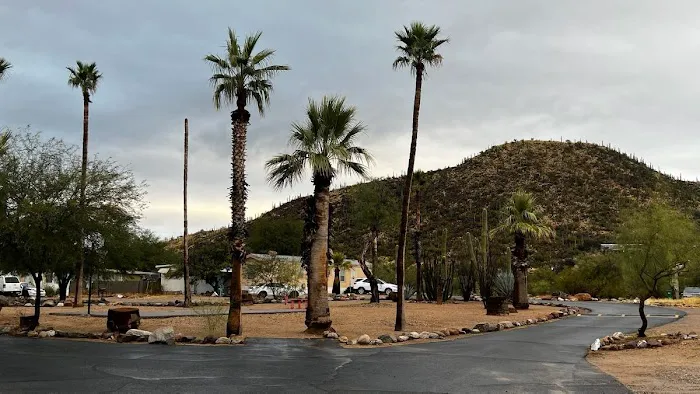 Cactus Gardens Mobile Home Community Picture 5
