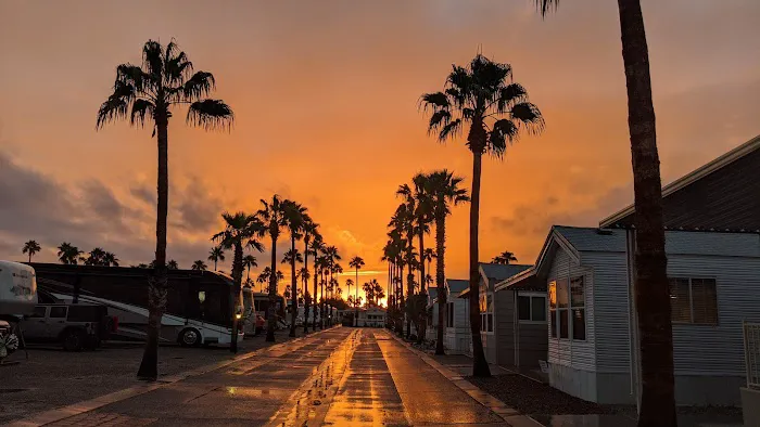 Rincon Country West RV Resort Picture 5