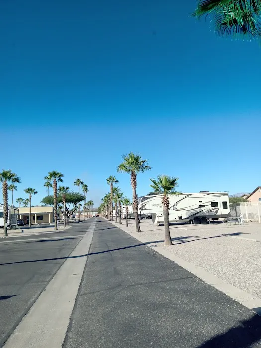 Rincon Country West RV Resort Picture 8