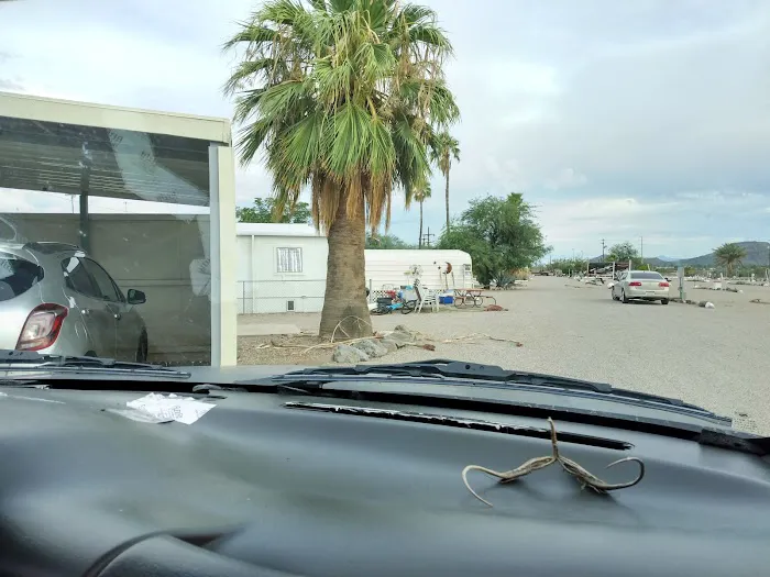 Tra-Tel Tucson RV Park Picture 2