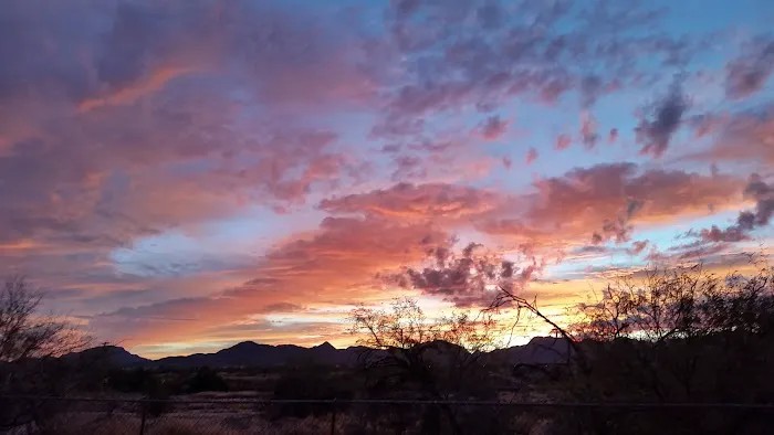 Tra-Tel Tucson RV Park Picture 3