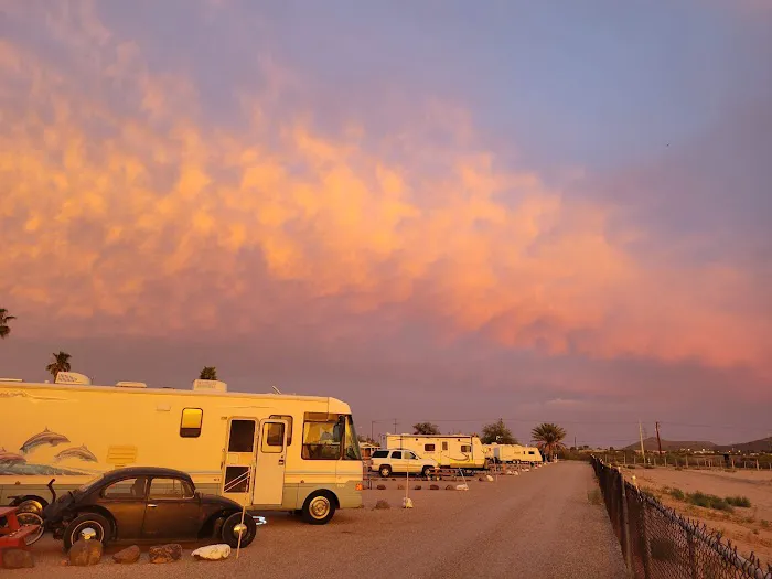Tra-Tel Tucson RV Park Picture 5