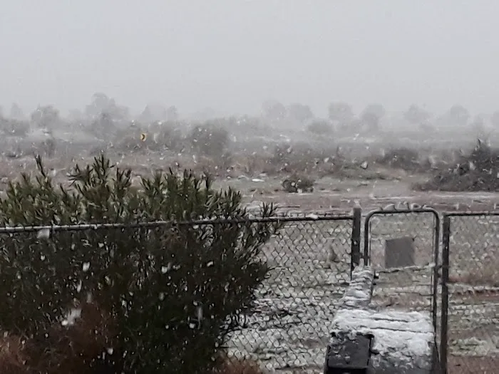 Tra-Tel Tucson RV Park Picture 10