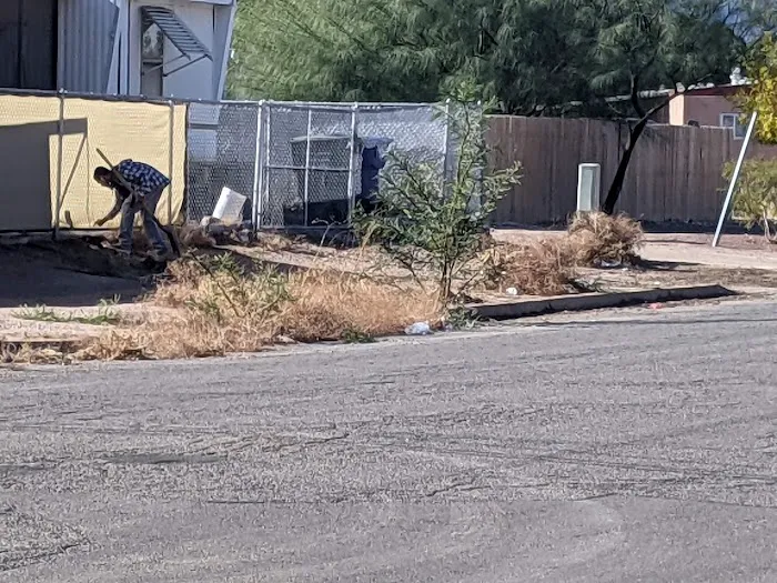 Palm Harbour Estates Mobile Home & RV Park Picture 3