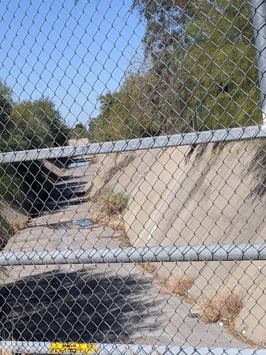 Palm Harbour Estates Mobile Home & RV Park Picture 5