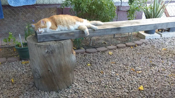 43S Mobile Home Park Picture 3