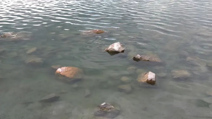 43S Mobile Home Park Picture 2