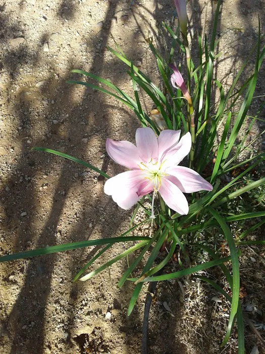 43S Mobile Home Park Picture 6