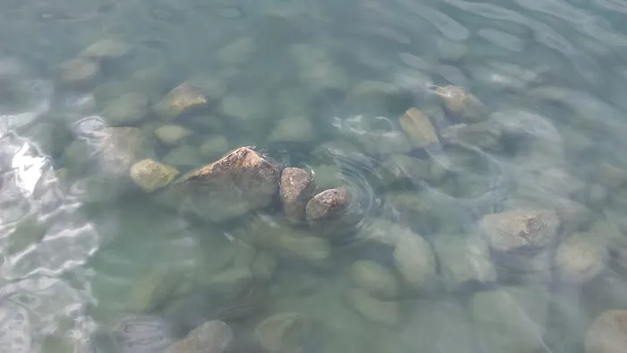 43S Mobile Home Park Picture 10