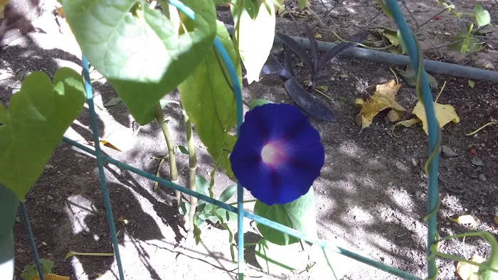 43S Mobile Home Park Picture 8