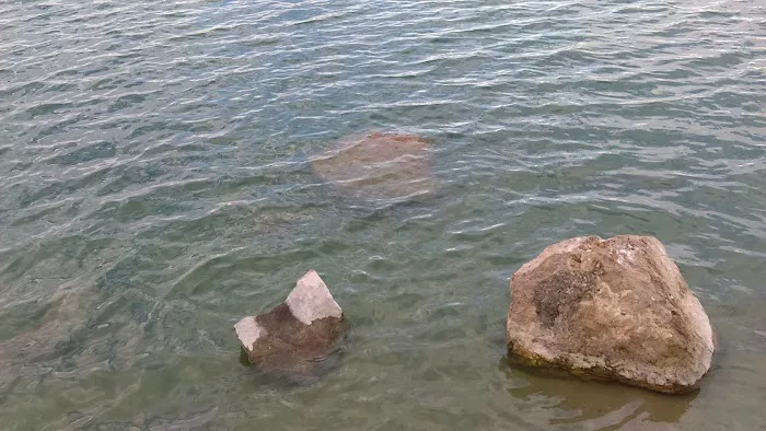 43S Mobile Home Park Picture 9