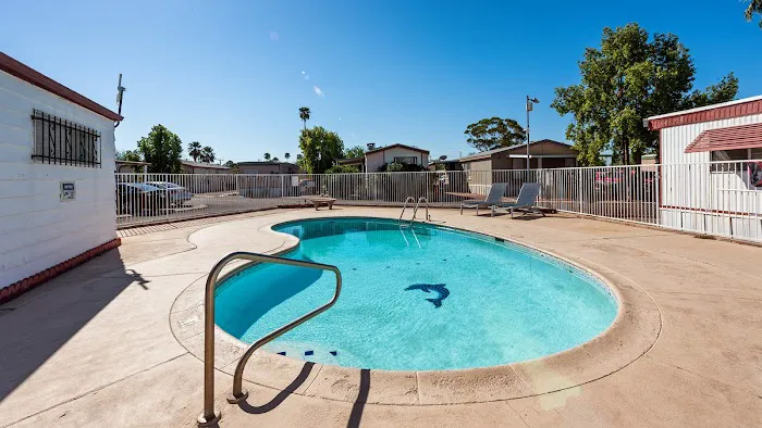 Lamplighter Picture 2