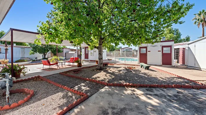 Lamplighter Picture 5