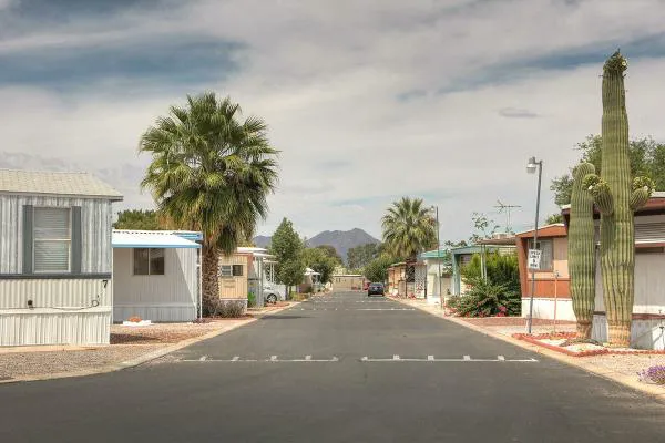 Lamplighter Picture 6