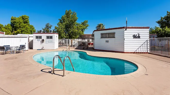 Lamplighter Picture 8