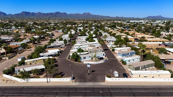 Lamplighter Picture 9