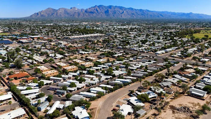 Lamplighter Picture 10