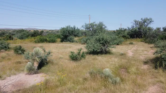 Oracle Junction Mobile Home Picture 4