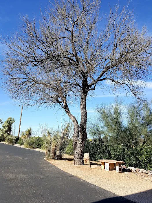 Oracle Junction Mobile Home Picture 9