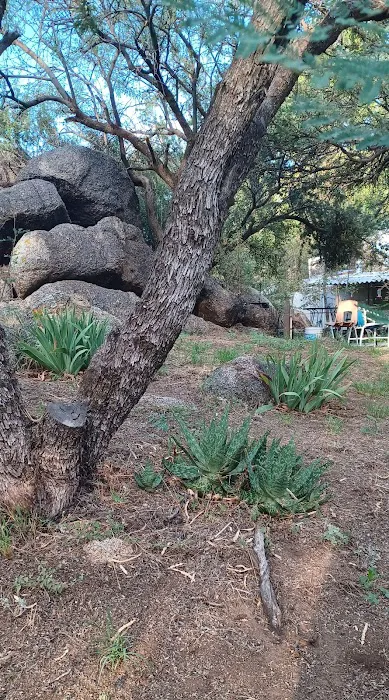 ApacheLand Trailer Park Picture 5