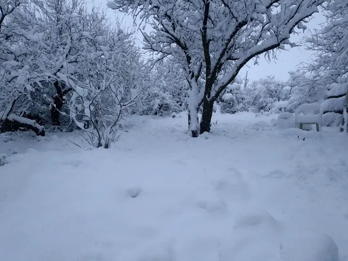 ApacheLand Trailer Park Picture 6