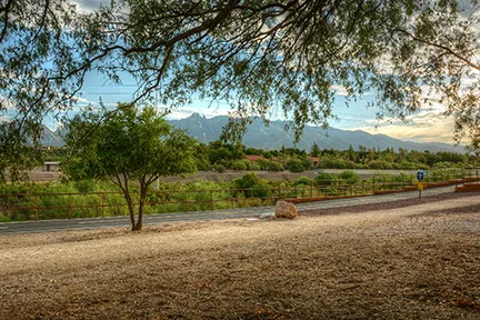 Vista del Norte Mobile Estates Picture 10