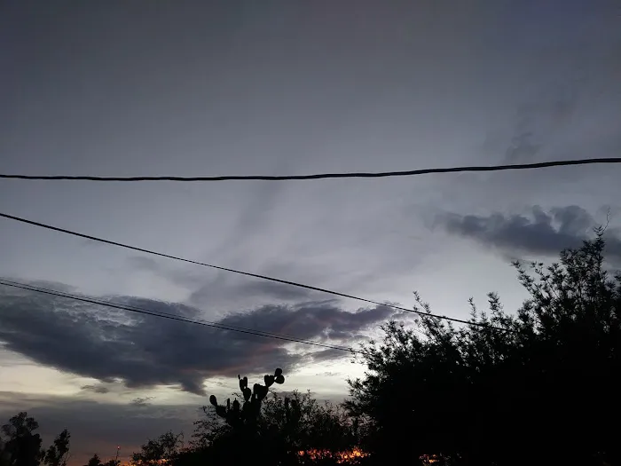 Prince Park Picture 2