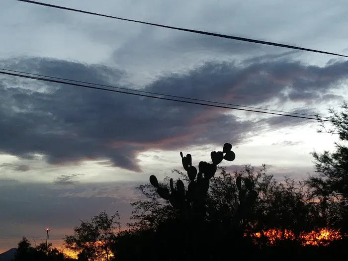 Prince Park Picture 1