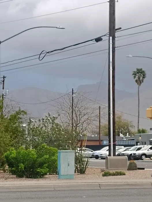 Prince Park Picture 4