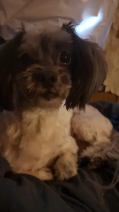 Villa Vista Picture 5