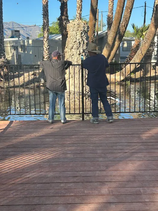 Desert Shores Estates MHP Picture 2