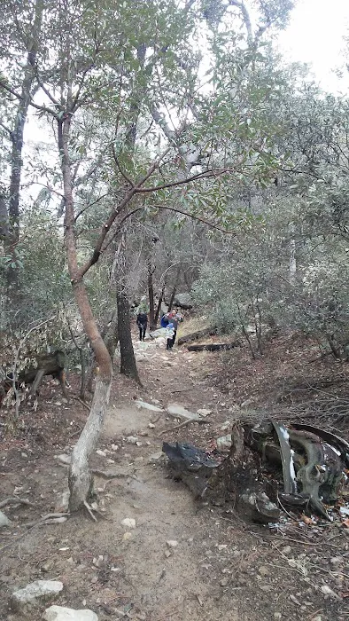 The Palms Mobile Community Picture 9