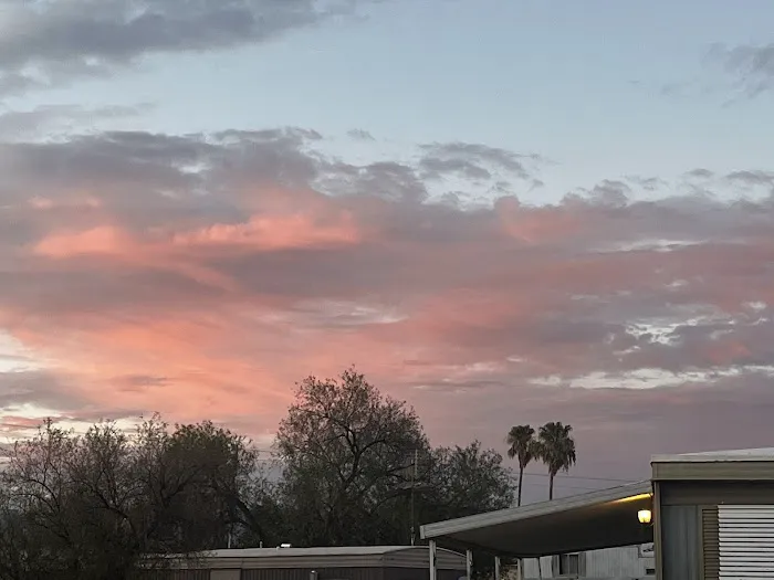 Dessert Classic Mobile Home Pk Picture 3