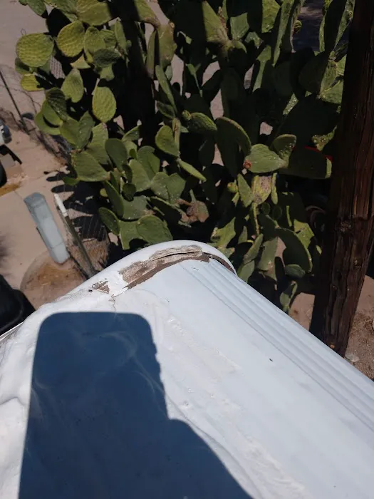 Mountain View Trailer Court Picture 8