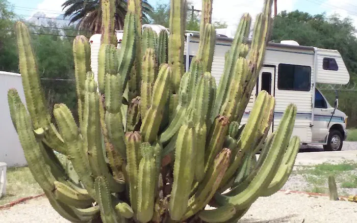 Fairview Manor Picture 6