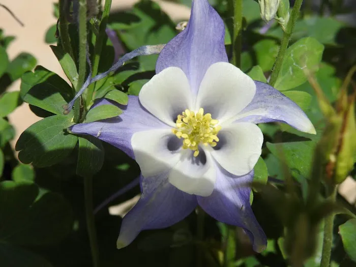 Fairview Manor Picture 5