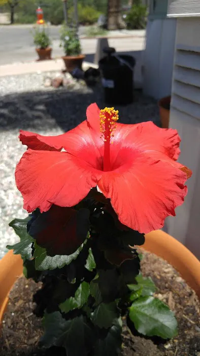 Fairview Manor Picture 9